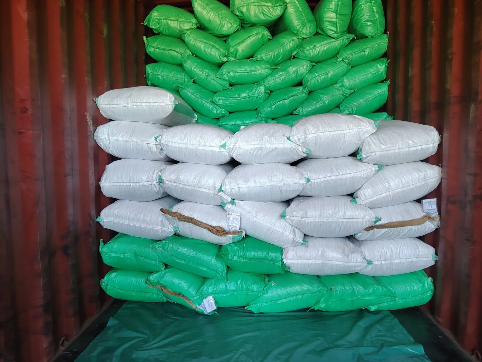 Herbs Gate export team loading dried herbs into a shipping container