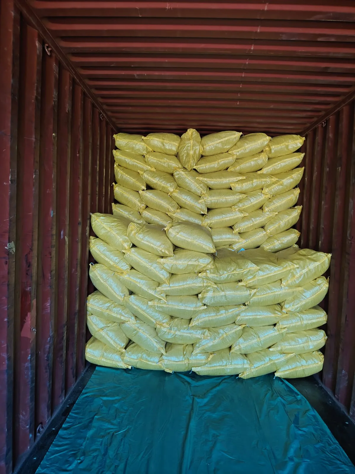 Workers securing bulk herb bags inside a shipping container